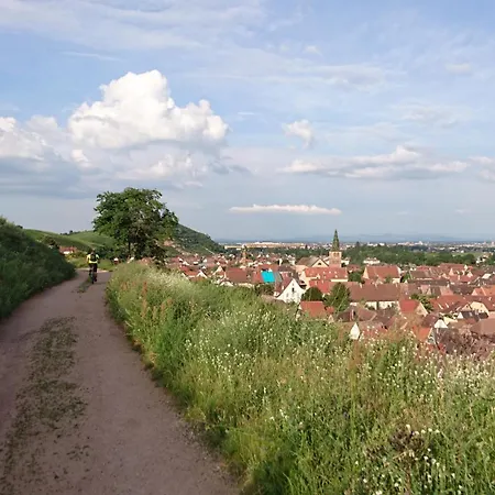 Entre Ville Et Vignes - Gite Classe 3 Etoiles Ingersheim Exterior photo