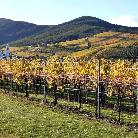 Entre Ville Et Vignes - Gite Classe 3 Etoiles Ingersheim Exterior photo